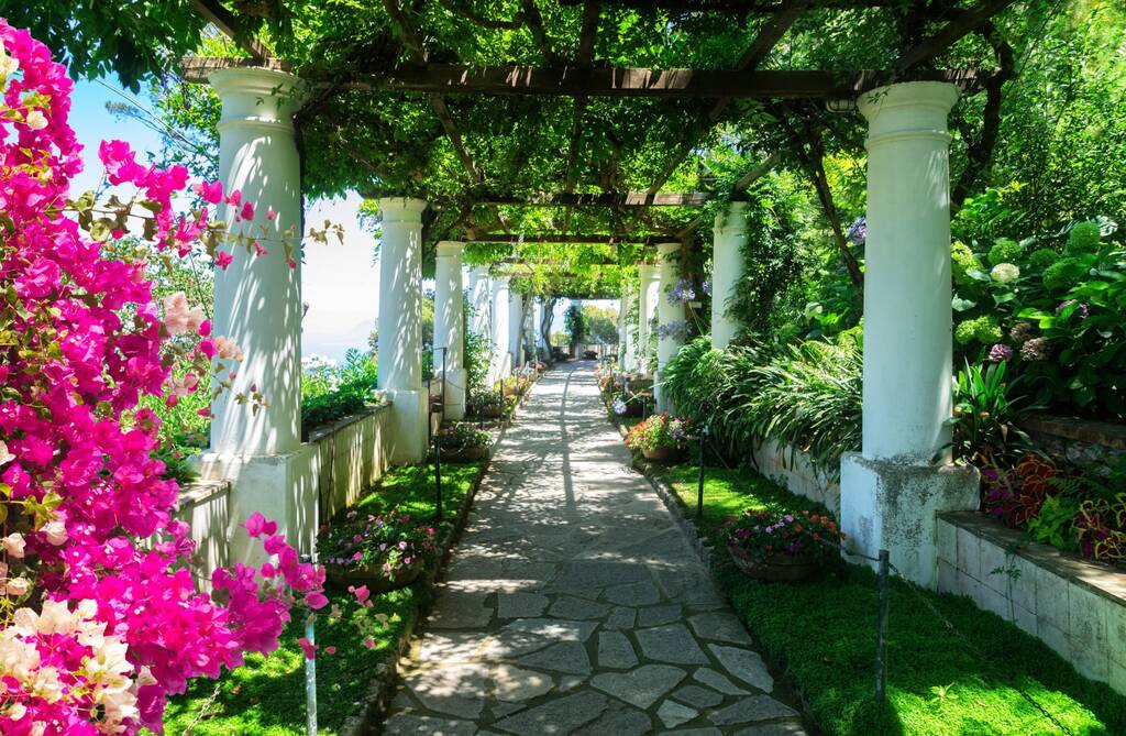 Beautiful pathway in garden with flowers, nature of Capri island, Italy