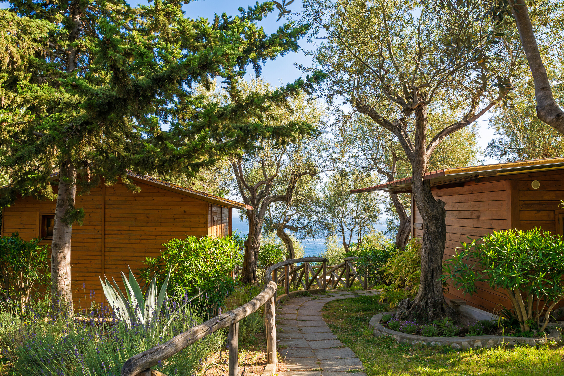 Holiday apartment - wooden cottage in forest near the sea. camping house in Italy near Sorrento