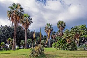 Beautiful scenic view with palm trees in the Molosiglio gardens (Giardini del Molosiglio) near the Port of Molosiglio, Naples - a public park in the San Ferdinando district of Naples, Campania, Italy