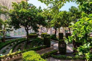 The Minerva garden, an ancient botanical garden in the historic center of Salerno